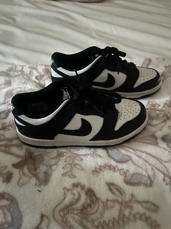 Nike Other - Nike Dunks Kids Shoes